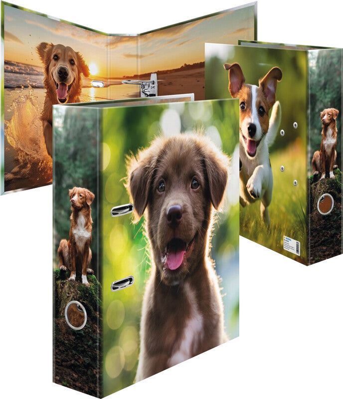 HERMA Ordner – A4 hoch – 2-Ring Hebelmechanik, Rücken 70 mm – mehrfarbig, mit Niederhalter