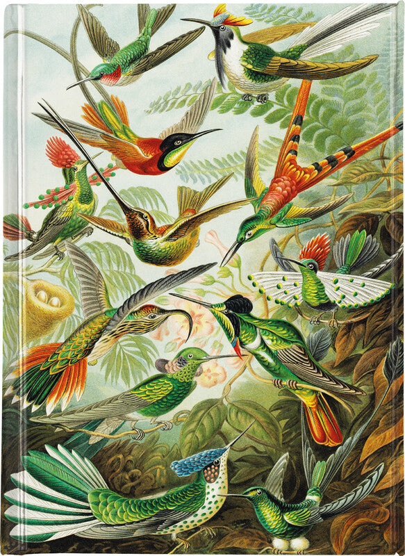 Flame Tree Notizbuch – A6 – 176 Seiten – 80 g/m² – Gebunden, Magnetverschluss, 2 Lesezeichen, Mehrfarbig
