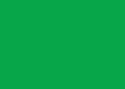 Clairefontaine Kopierpapier – A4, 80 g/m², billardgrün – für Inkjet/Laser/Kopierer – FSC – 500 Blatt