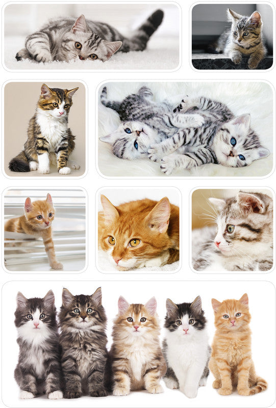 HERMA Schmucketiketten – Motiv Katzenkinder – Papier, hochglänzend, 24 Stk, 3 Bogen