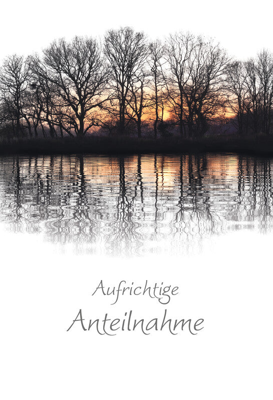 Kurt eulzer Grusskarte Trauer (Wald) – 120 × 180 mm – mit Umschlägen, Text auf Deutsch, Karton, 6er Pack