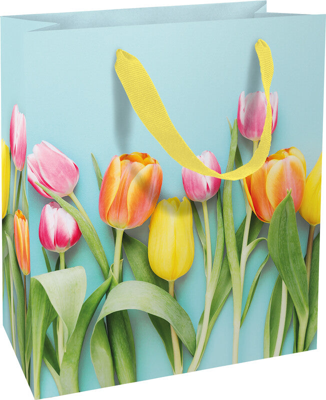 Braun + Company Tragetasche – Rainbow Tulips – Papier, matt – 180 × 210 × 80 mm