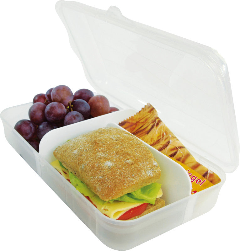 Rotho Lunchbox Fun – mit Innenteiler – Kunststoff – transparent – 24,5 × 6,5 × 14,5 cm