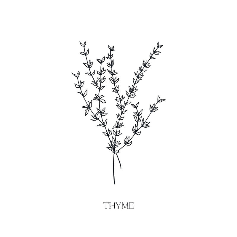 Fasana Servietten Thyme – 33 × 33 cm – 3-lagig, Tissue – 20 Stk., FSC