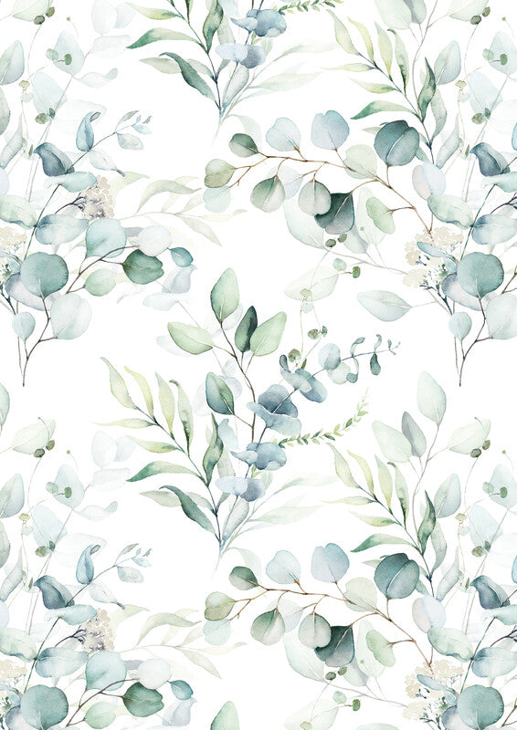 Zoewie Geschenkpapier Rolle – Pure Nature – 5 Motive, sortiert – 70 cm × 2 m – 70 g/m2, matt