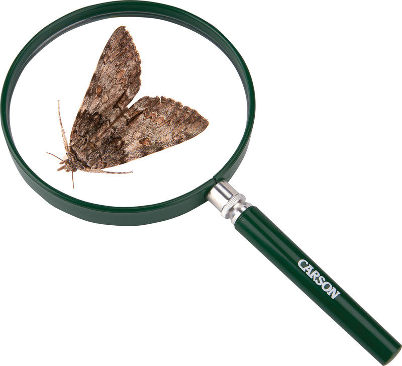 Carson Kids BigEye – Handlupe – 2× – Ø 125 mm