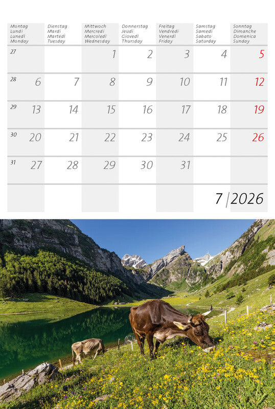Calendaria Postkartenkalender 2026 – 14,8 × 22 cm – mit 12 Postkarten, mit Aufhänger