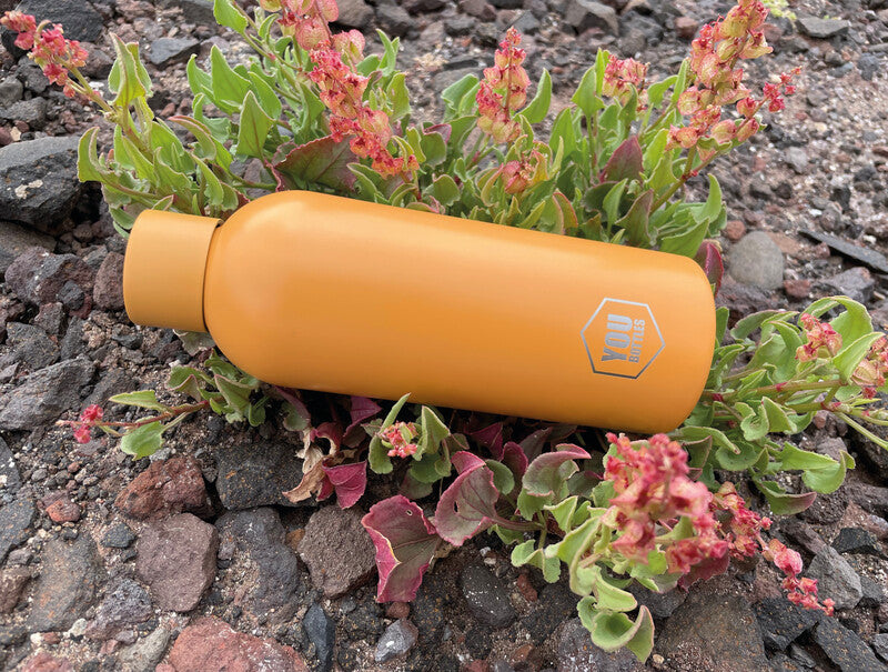 Youbottles Trinkflasche Dual – 5 dl – Edelstahl, isoliert, Schraubverschluss – Pastellpfirsich