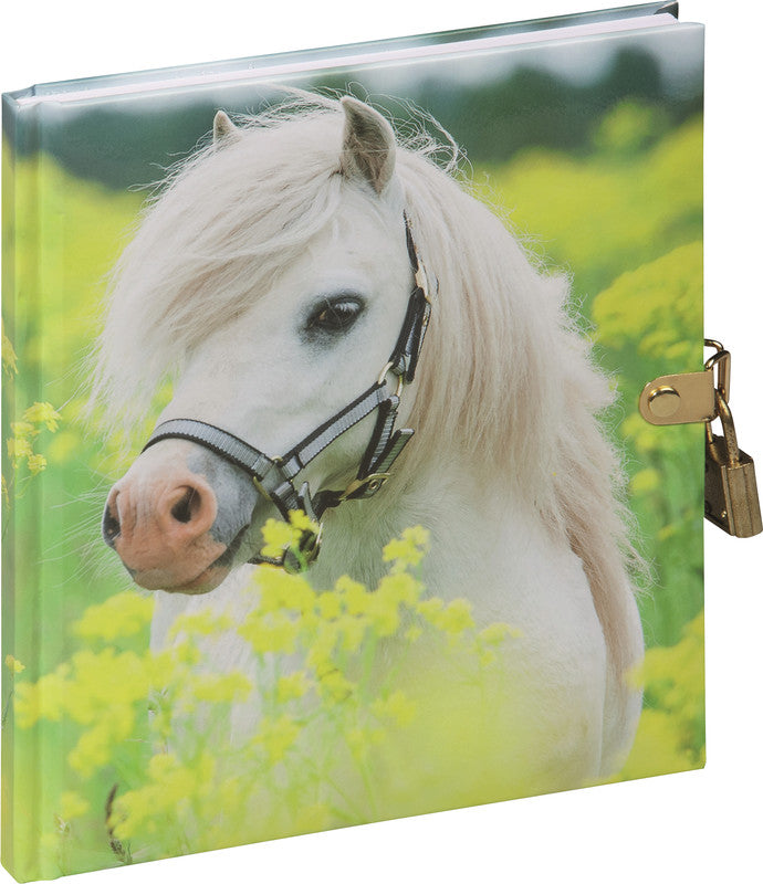 Pagna Kleines Pony Tagebuch – 155 × 180 mm – 128 Seiten – mit Schloss, gebunden, mehrfarbig