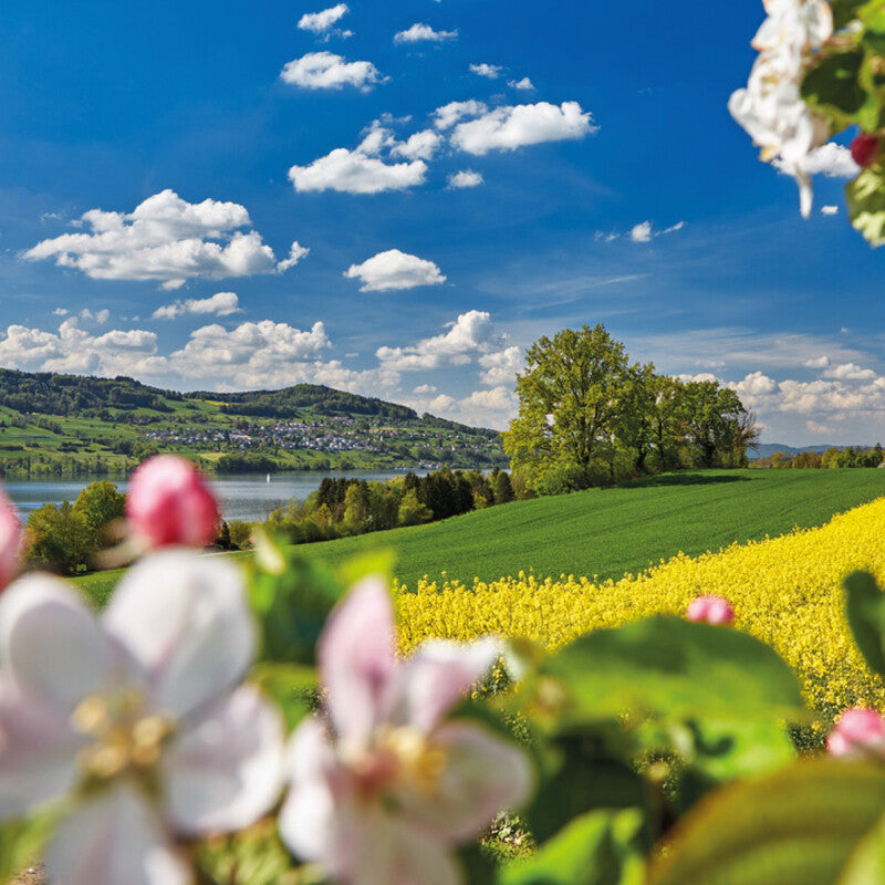 Calendaria Mini Swiss – Bildkalender Schweiz 2027 – 12,5 × 12,5 cm – Kalendarium d/f/i/e