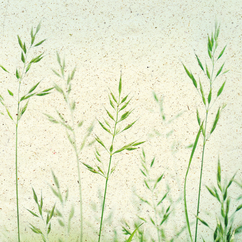 Atelier Servietten Sommerbrise – 33 × 33 cm – 3-lagig, Tissue – 20 Stk.