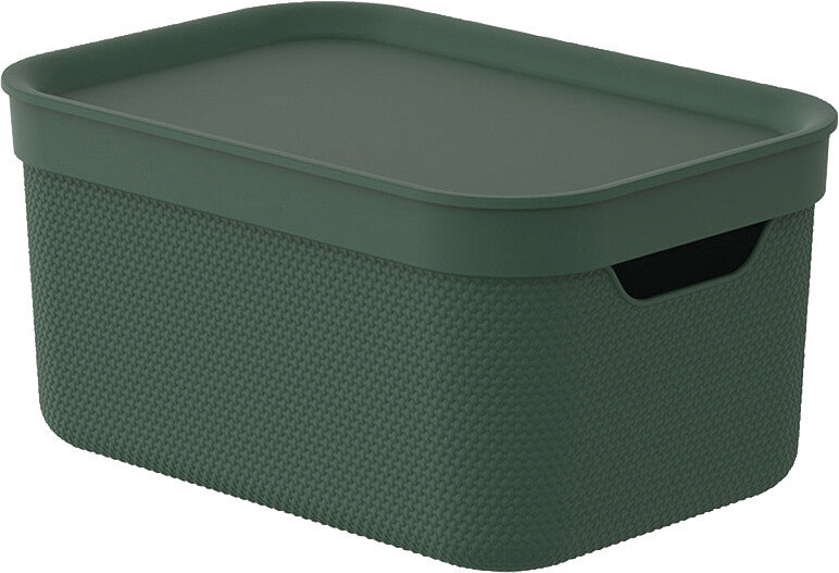 Rotho Alvra Aufbewahrungsbox 5 l (mit Deckel) – Kunststoff – Grün – für A5 – stapelbar, mit Griffloch
