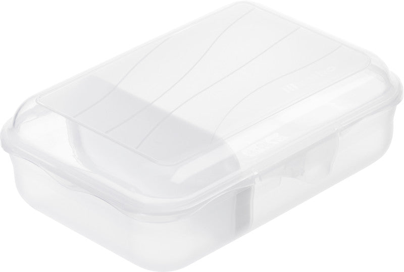 Rotho Lunchbox Fun – 0,9 l – mit Innenteiler – Kunststoff – transparent – 17,7 × 6 × 12,9 cm