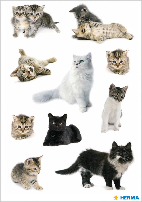 HERMA Schmucketiketten Decor Tiere – 84 × 120 mm – sortiert – 3 Blatt