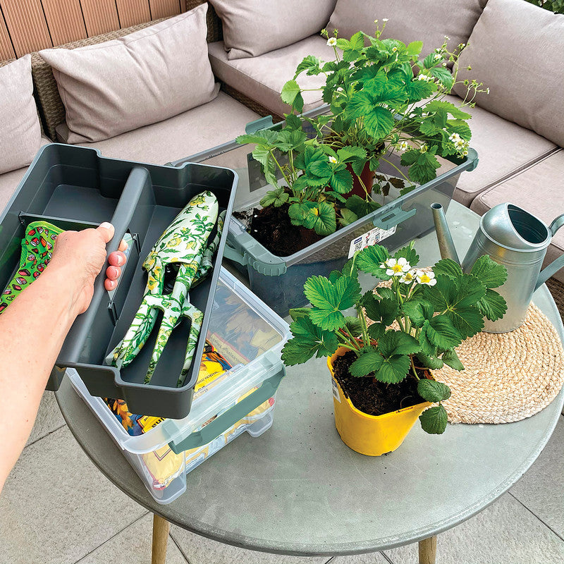 Rotho Organizer Evo – Kunststoff, Anthrazit, 32,9 × 25,0 × 6,5 cm