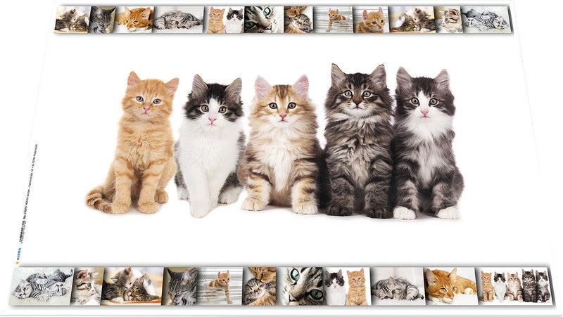 HERMA Schreibunterlage Animals – Katze – 550 × 350 mm – Kunststoff, rutschfest