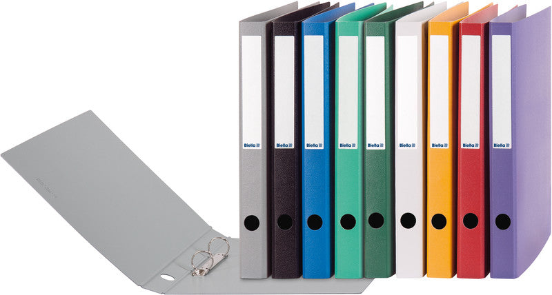 Biella Ringbuch Viria – A4 Hochformat – 2-Ring-Mechanik, Ø 25 mm, Rücken 31 mm – Hellgrün, mit Griffloch