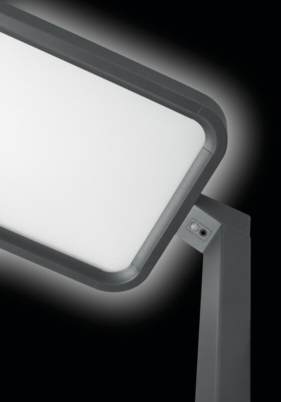 Hansa Saphir Plus Stehleuchte – 4000 K Neutralweiss, dimmbar, mit Bewegungs- & Tageslichtsensor, Anthrazit