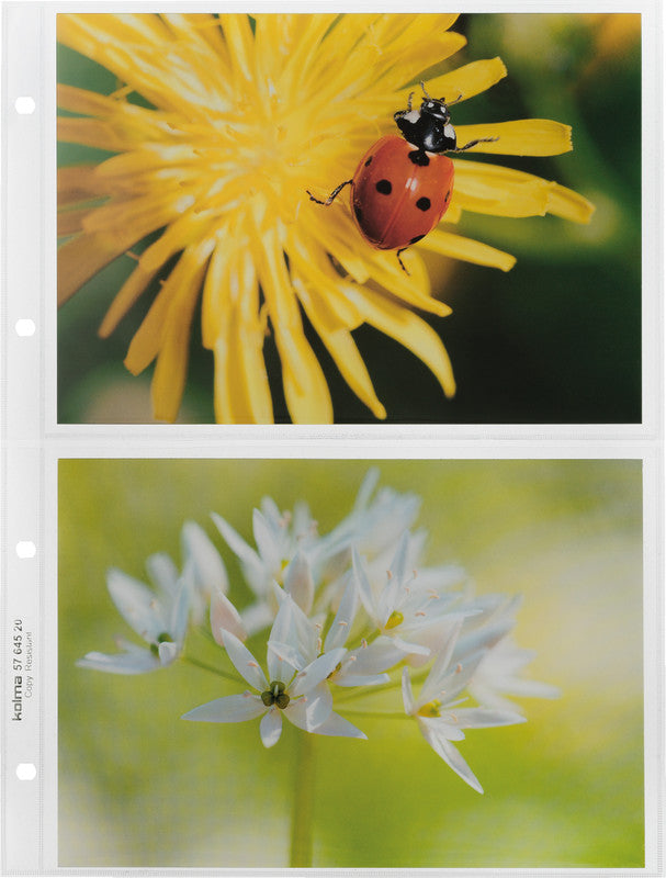 Kolma Sichtmappe A4 – transparent, Kunststoff, glänzend, 95 µm, 10er-Pack