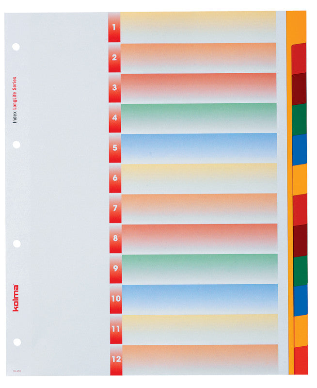 Kolma LongLife XL Register – A4, 12-teilig, PVC, farbig, unbedruckt, Indexblatt, 4-fach gelocht, überbreit