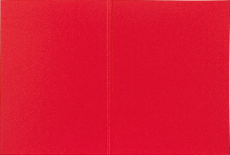 Biella Sammelmappe für A4, Karton, Rot