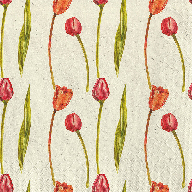 Fasana Servietten Dreamy Tulips – 24 × 24 cm – 3-lagig, Tissue – 20 Stk., FSC