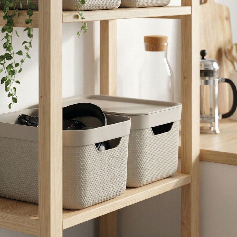 Rotho Alvra Aufbewahrungsbox 5 l (mit Deckel) – Kunststoff – Beige – für A5 – stapelbar, mit Griffloch – 185 ×