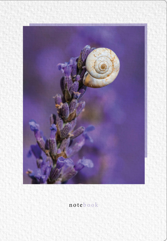 Natur verlag Notizbuch – A5 – punktiert – 80 g/m² – gebunden, abgerundete Ecken, Lesebändchen, Lavendel, FSC