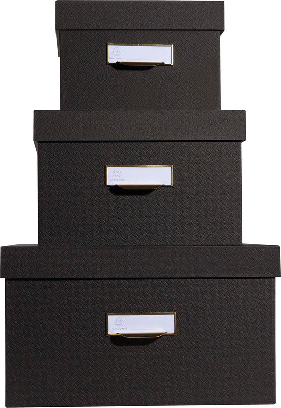 Exacompta Archivschachtel A4+ – mit Griffloch, stapelbar, 350 × 150 × 260 mm, schwarz, Karton, 3er Set