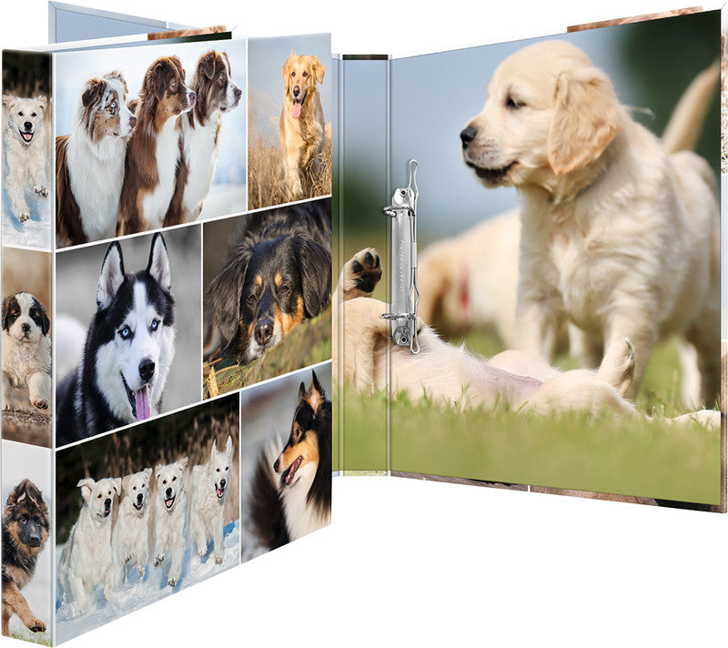 HERMA Zeigebuch Animals – A4 Hochformat – 2-Ring Bügelmechanik, Rücken 35 mm – Mehrfarbig, Karton, mit Niederhalte