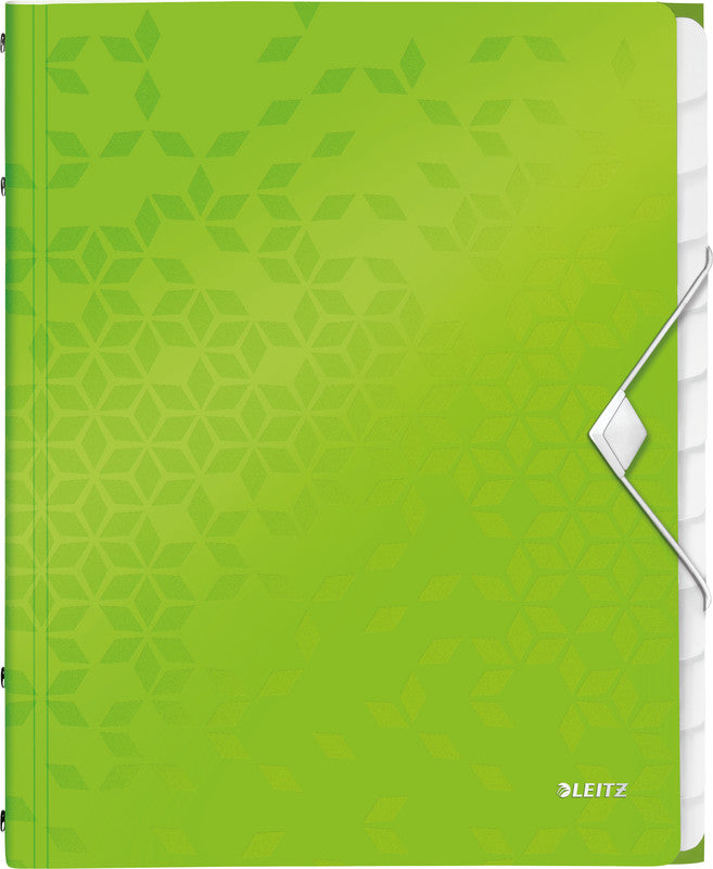 Leitz Fächermappe A4 – 12 Fächer, Gummiband, Polypropylen (PP), Grün, 3 Klappen, bis 200 Blatt