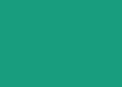 Clairefontaine Kopierpapier – A4, 80 g/m², Tannengrün – für Inkjet/Laser/Kopierer – FSC, EU Ecolabel – 500 Blatt