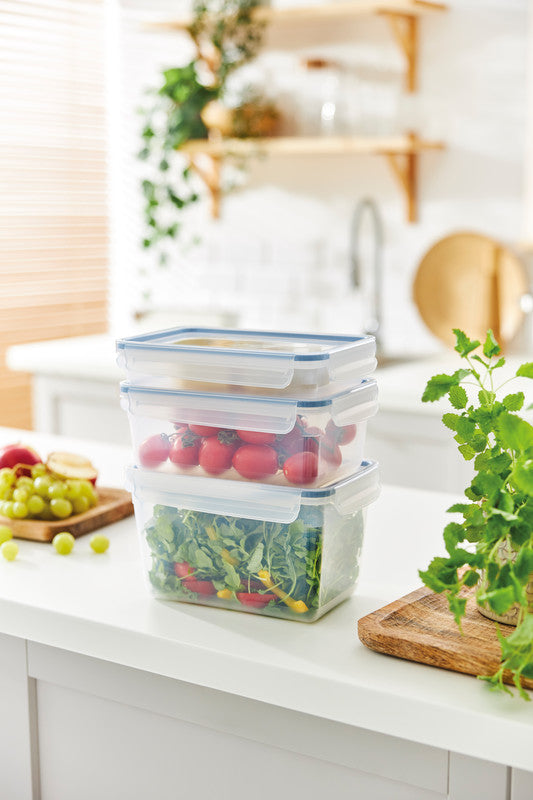 Rotho Kühlschrankdose Clic & Lock – 3 l – rechteckig – 23,9 × 13,6 × 16 cm – Kunststoff – transparent