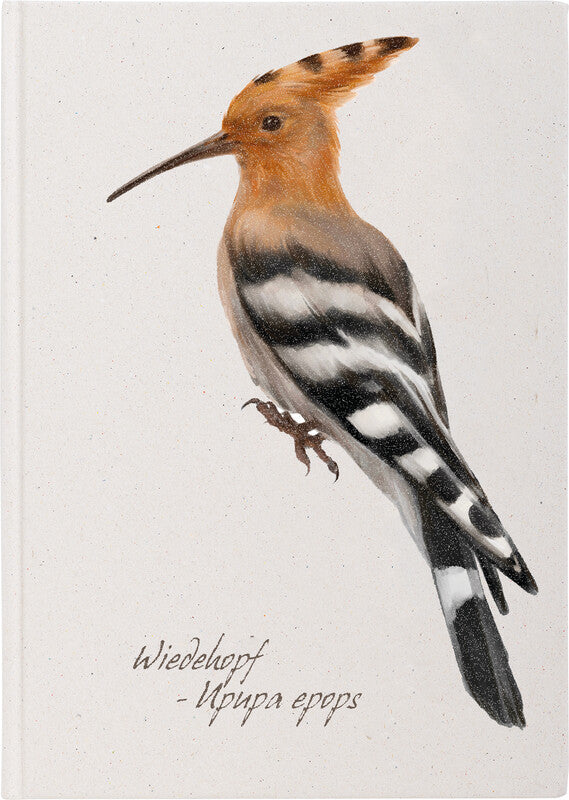 Pagna Notizbuch – A5 – punktiert – 128 Seiten – Fadenheftung – weiss