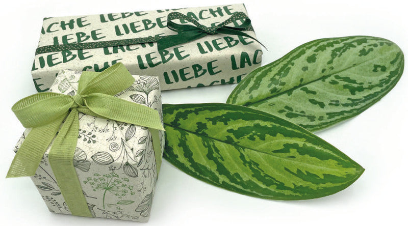 Braun + Company Geschenkpapier Everyday By Nature – Lebe, Liebe – Graspapier – 700 × 1500 mm – 1 Rolle